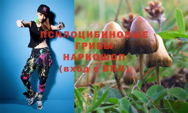 спайс Абинск